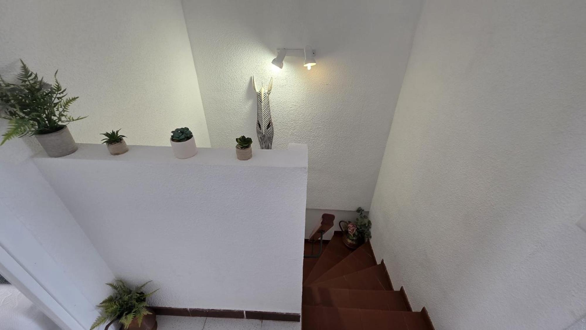 Apartmán Regata Playa Oropesa del Mar Exteriér fotografie